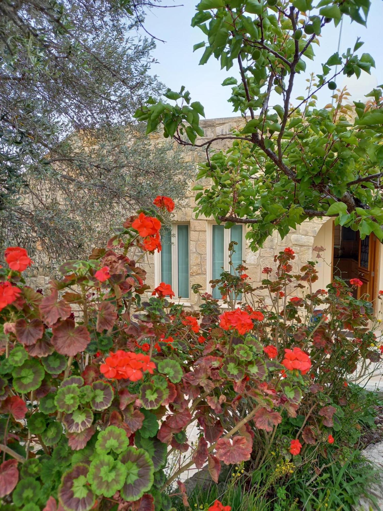 Villa Koumneni Pano Akourdalia Exterior photo