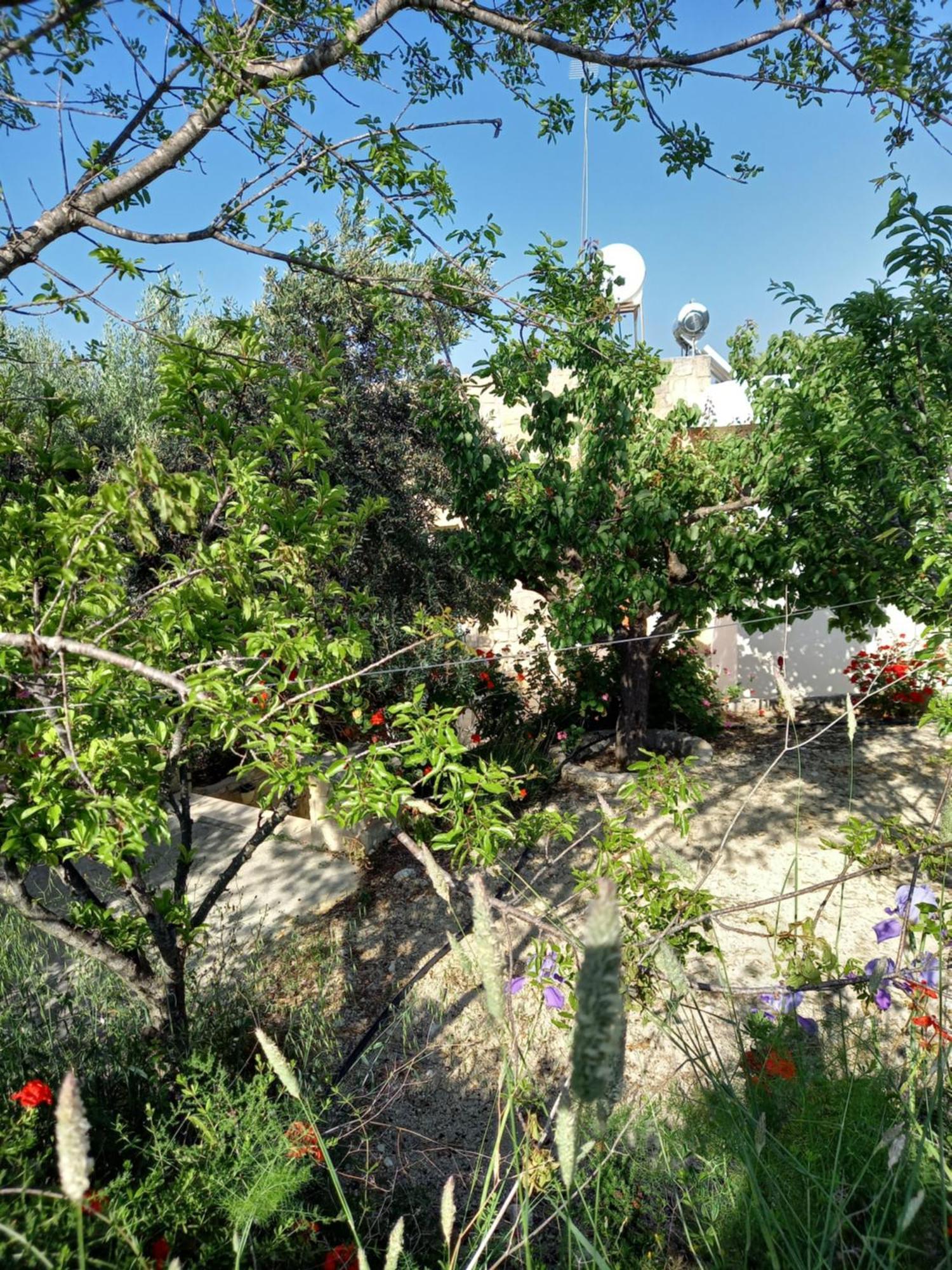 Villa Koumneni Pano Akourdalia Exterior photo